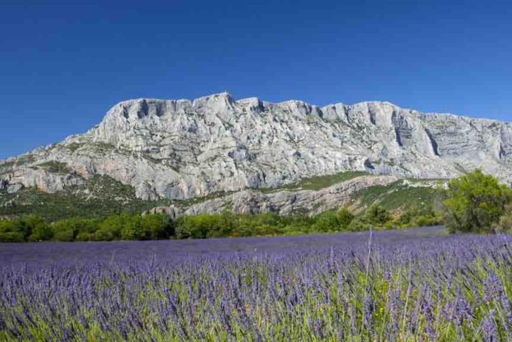 Appartement Avec Deux Chambres Centre Ville Aixois Aix-en-Provence Exteriér fotografie